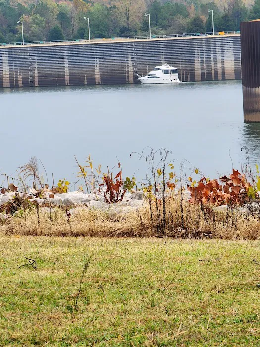 TVA Pickwick Dam Campground Picture 8