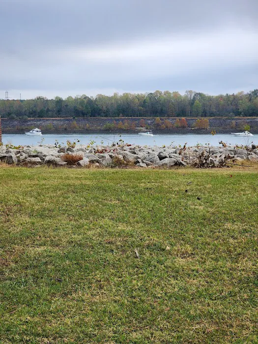 TVA Pickwick Dam Campground Picture 7