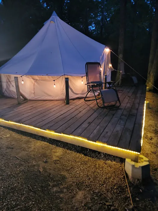 Pickwick Adventures Picture 4