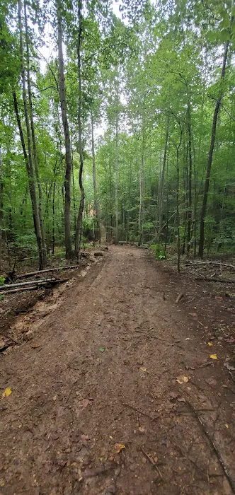 Pickwick Adventures Picture 6