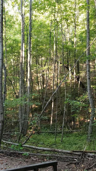 Pickwick Adventures Picture 3