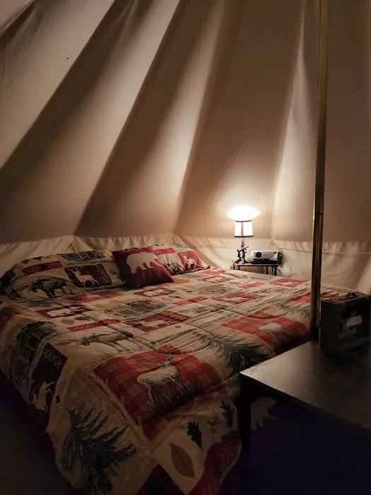 Pickwick Adventures Picture 9