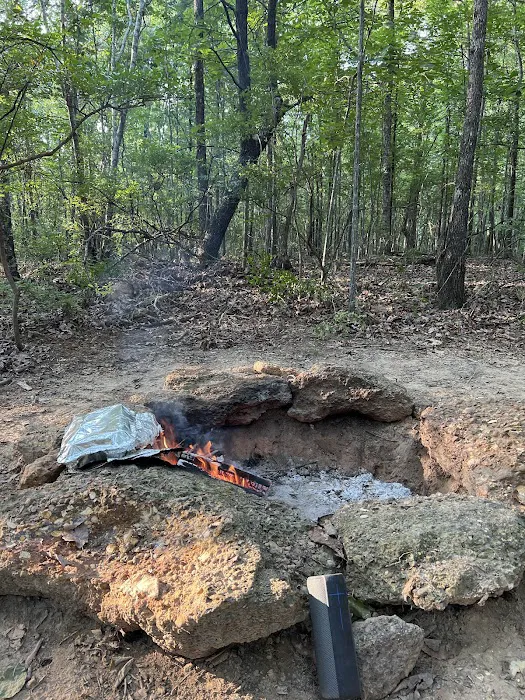 Pickwick Adventures Picture 8