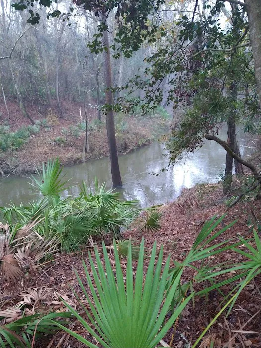 Firelight Family Campground Picture 6