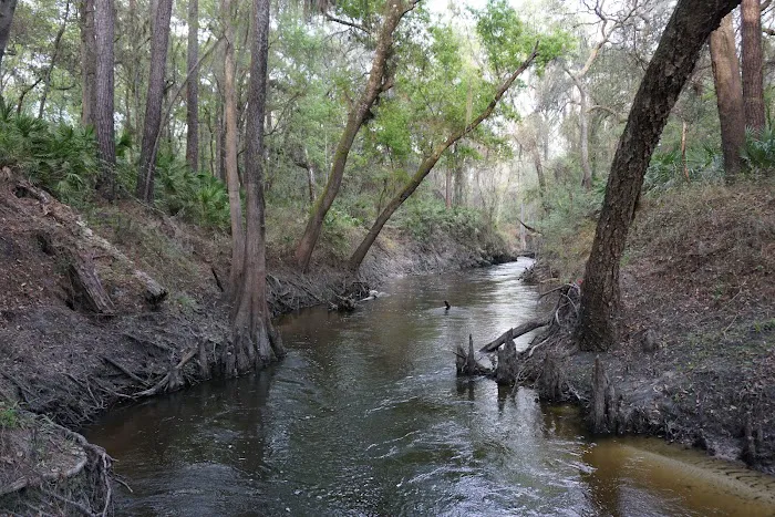 Firelight Family Campground Picture 8