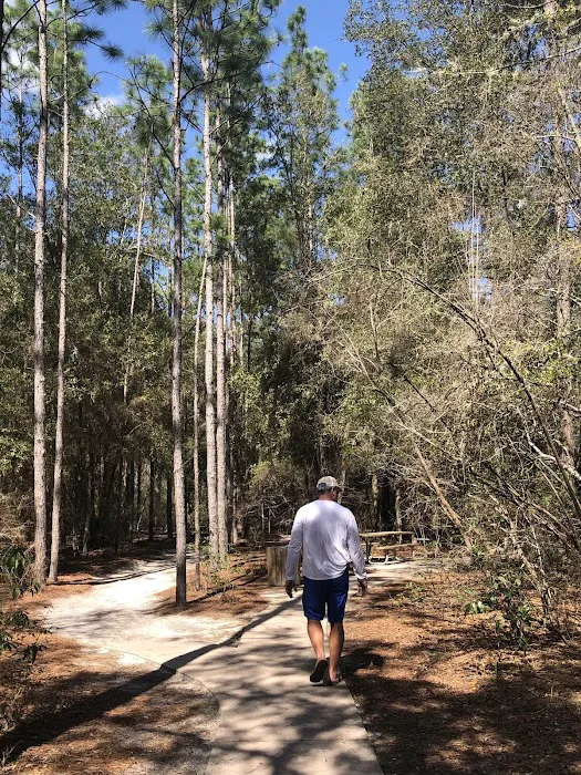 Woods Ferry River Camp Picture 3