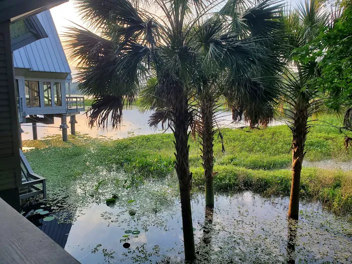 Camp Weed Picture 10