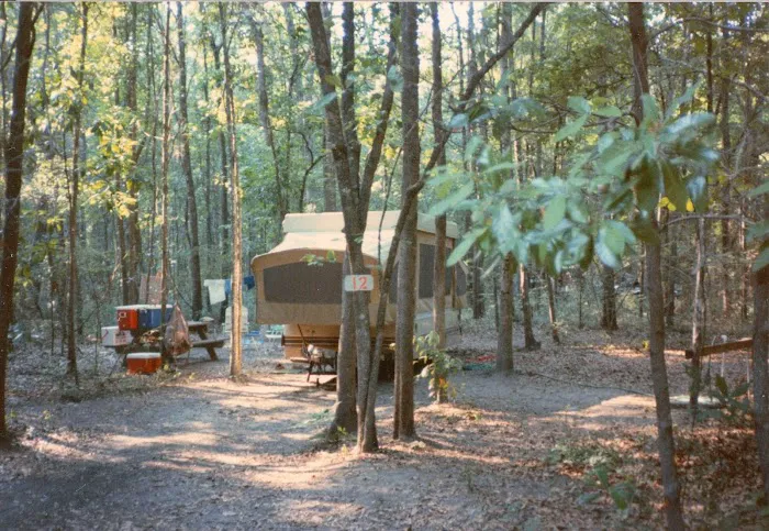 Ichetucknee Springs Campground Picture 9