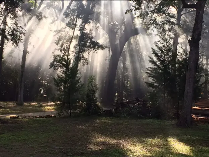 Bowman's Landing Picture 9