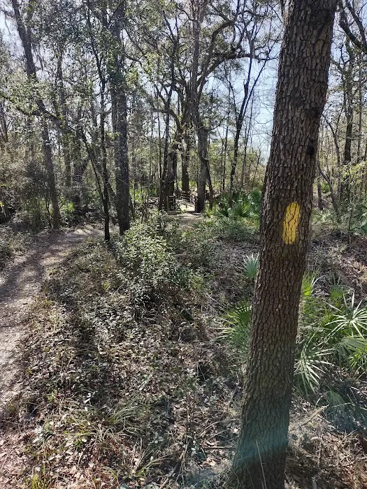 River Rise Magnolia Campground Picture 2