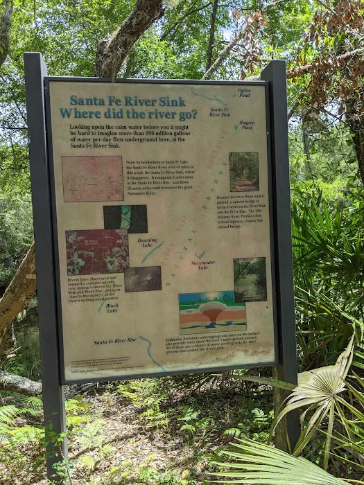 River Rise Magnolia Campground Picture 9