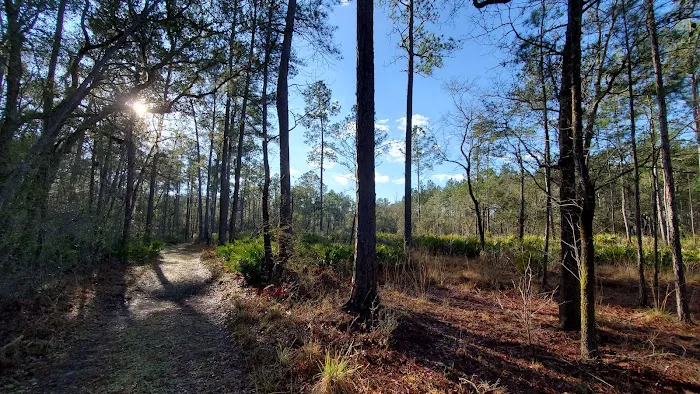 River Rise Magnolia Campground Picture 8