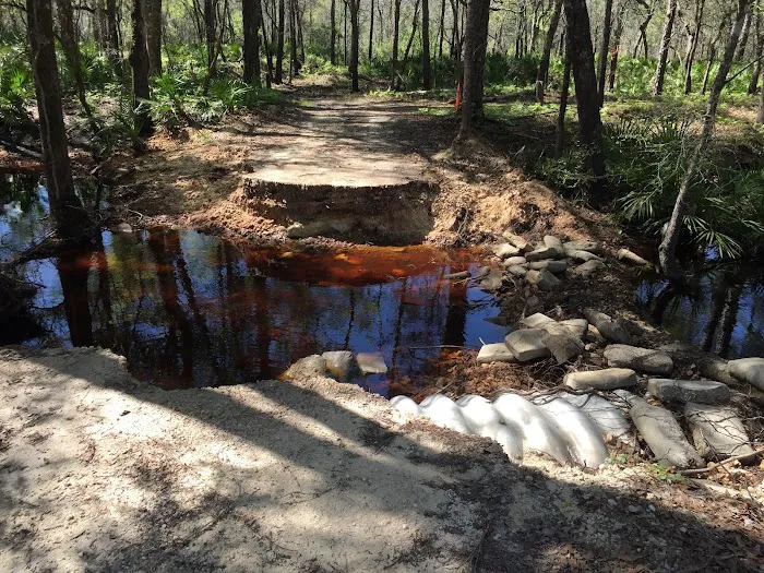 River Rise Magnolia Campground Picture 5