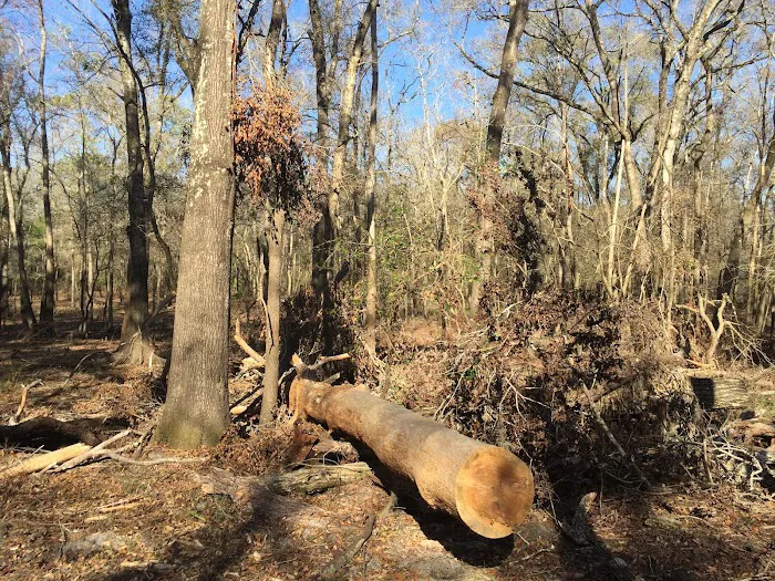 River Rise Magnolia Campground Picture 7