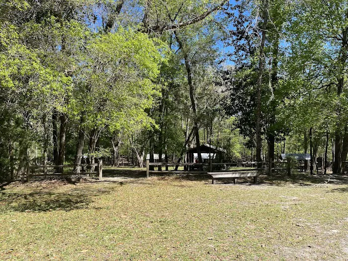 River Rise Magnolia Campground Picture 6