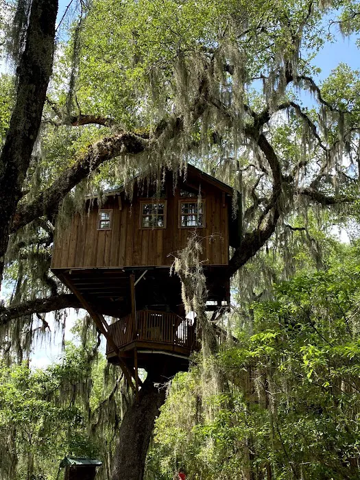 Spirit of the Suwannee Music Park & Campground Picture 4