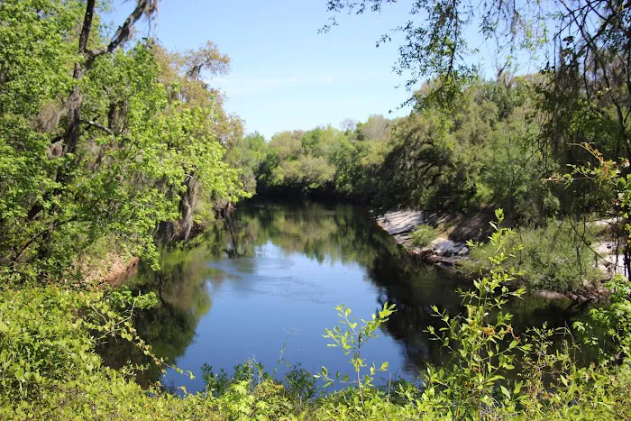 Spirit of the Suwannee Music Park & Campground Picture 6