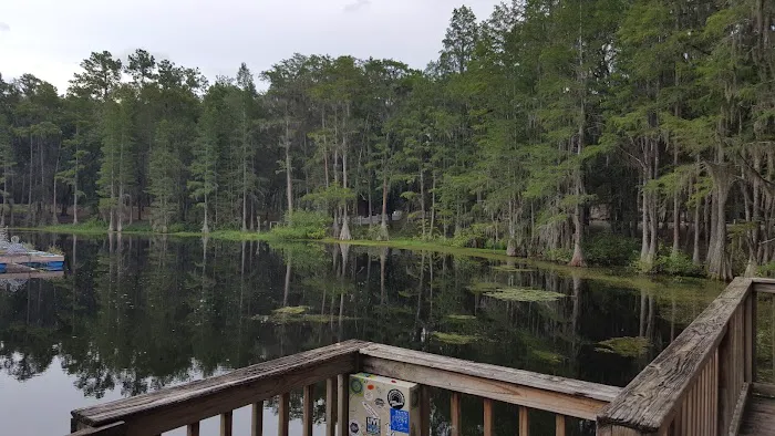 Pine Field Campsites Picture 5