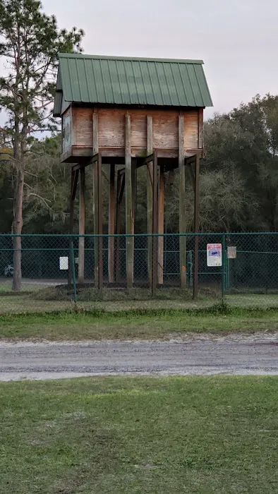 Pine Field Campsites Picture 4