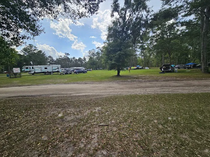 Pine Field Campsites Picture 8