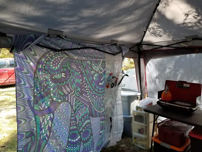 Pine Field Campsites Picture 7