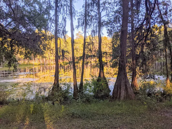 Pine Field Campsites Picture 9