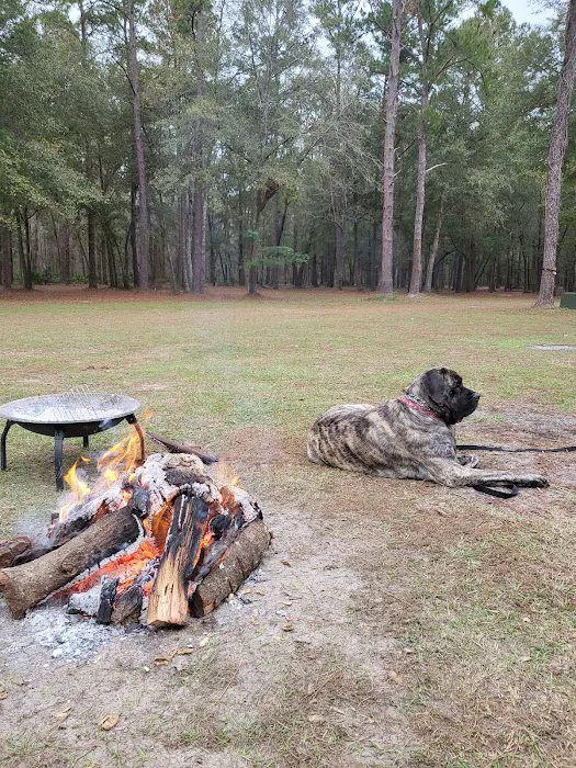 Bird Sanctuary Suwannee Music Park Picture 3