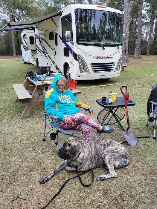 Bird Sanctuary Suwannee Music Park Picture 2