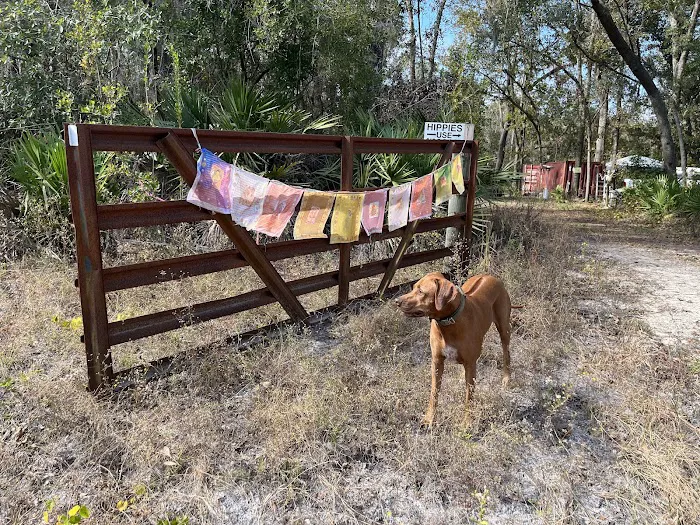 Camp Wildfire Picture 3