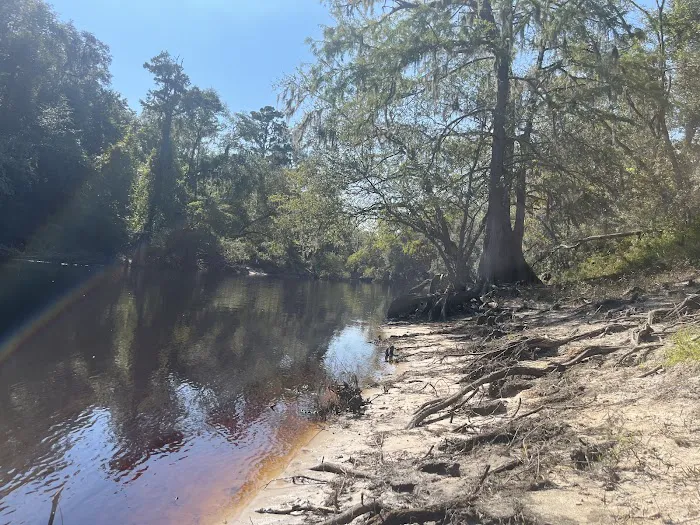 Camp Wildfire Picture 4