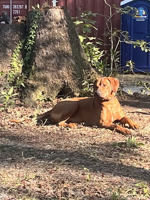 Camp Wildfire Picture 2