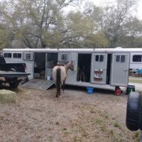 O'Leno River Rise Horse Camping And Trails ico