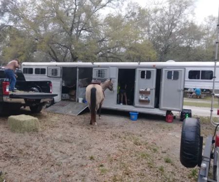 O'Leno River Rise Horse Camping And Trails