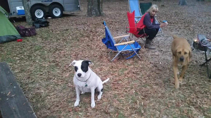 O'Leno River Rise Horse Camping And Trails Picture 3