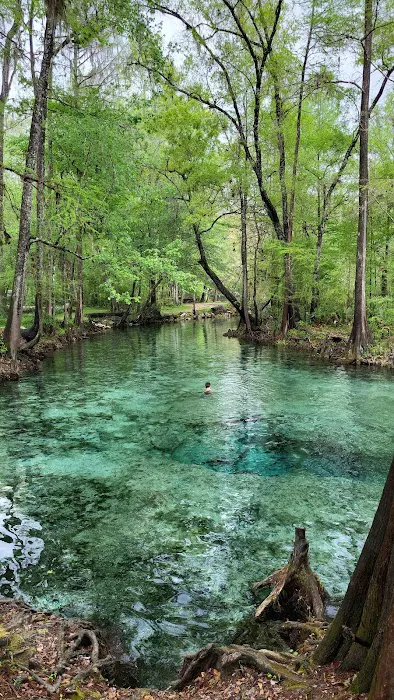 Ginnie Springs Outdoors, LLC Picture 7