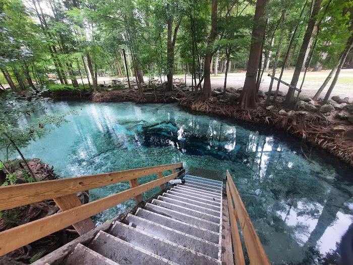 Ginnie Springs Outdoors, LLC Picture 4