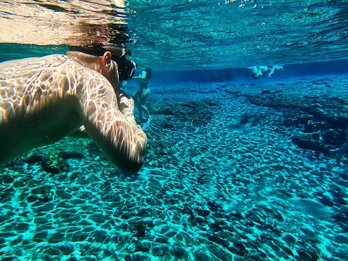 Ginnie Springs Outdoors, LLC Picture 6