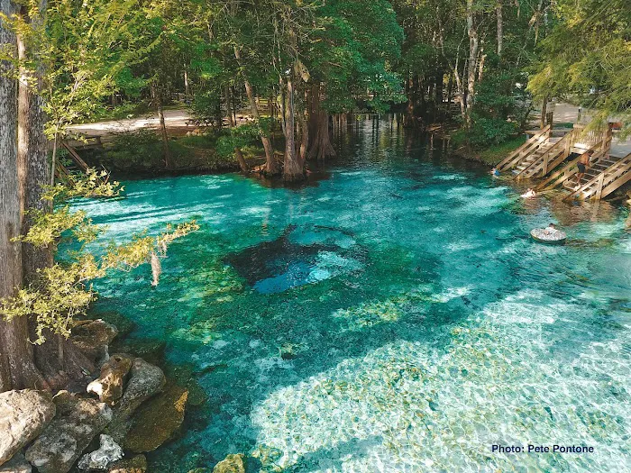 Ginnie Springs Outdoors, LLC Picture 10