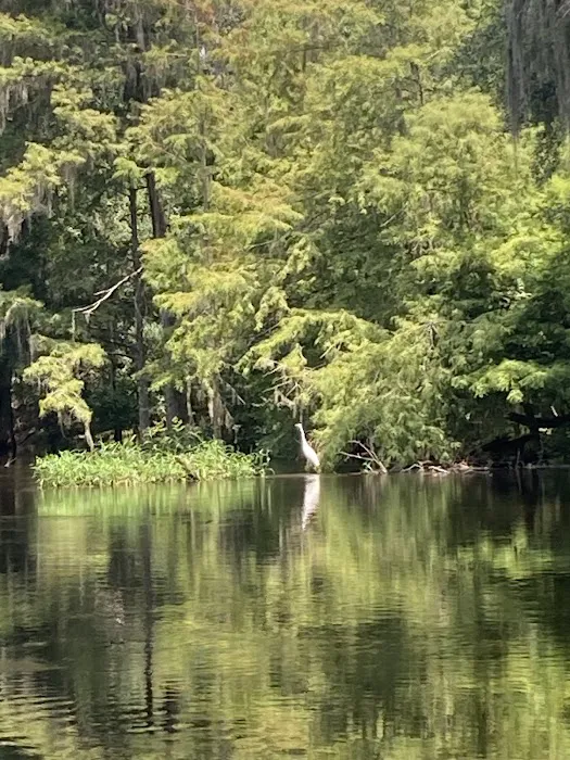 KATE'S FISH CAMP RV Park Picture 3