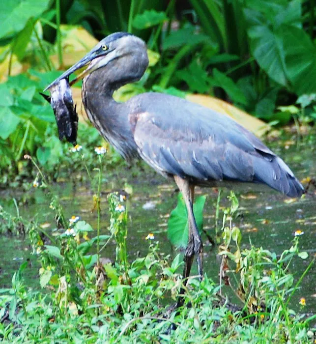 KATE'S FISH CAMP RV Park Picture 8