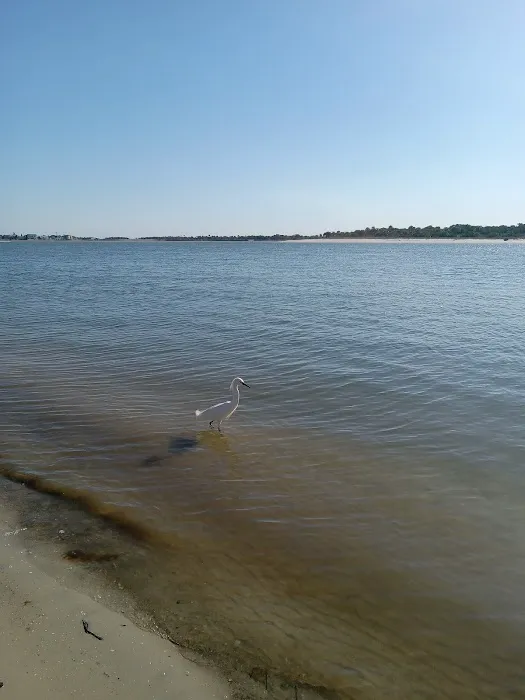 Matanzas State Forest Cedar Creek Campground Picture 1