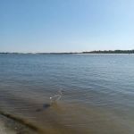 Matanzas State Forest Cedar Creek Campground