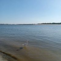 Matanzas State Forest Cedar Creek Campground ico