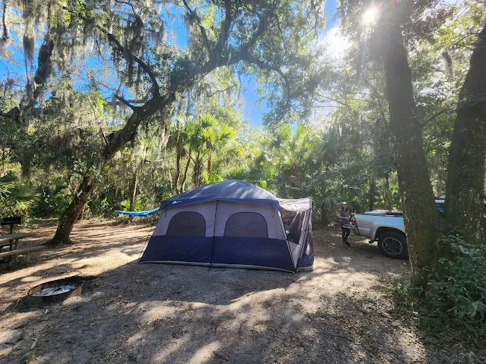 Matanzas State Forest Cedar Creek Campground Picture 2