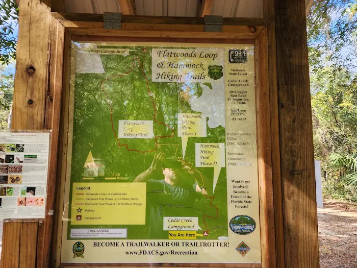 Matanzas State Forest Cedar Creek Campground Picture 9
