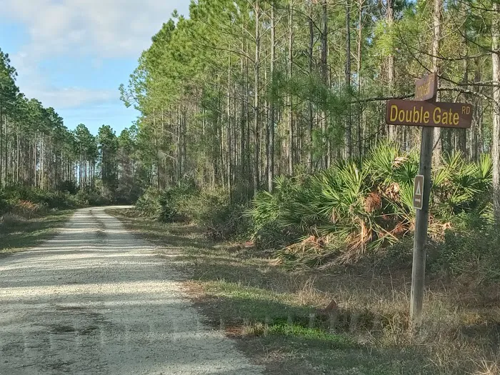 Matanzas State Forest Cedar Creek Campground Picture 3