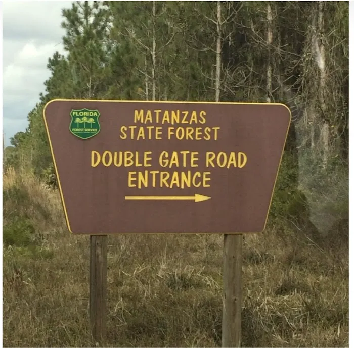 Matanzas State Forest Cedar Creek Campground Picture 8