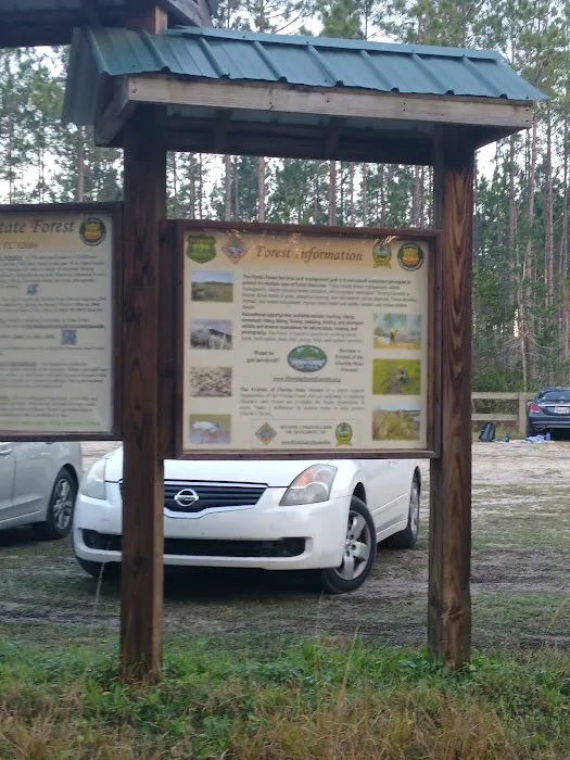Matanzas State Forest Cedar Creek Campground Picture 7
