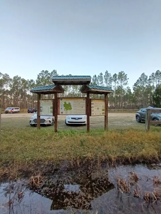 Matanzas State Forest Cedar Creek Campground Picture 5