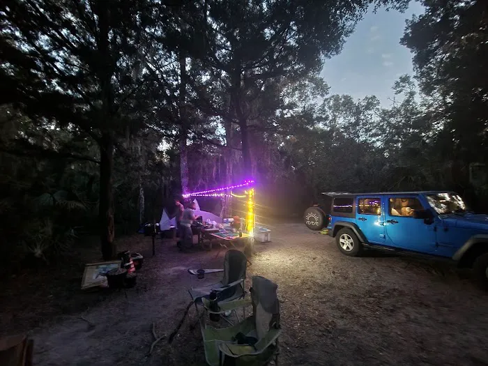 Matanzas State Forest Cedar Creek Campground Picture 10